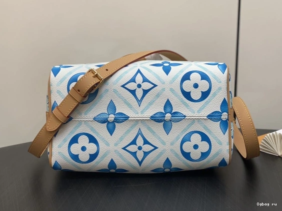Louis Vuitton SPEEDY 25 0710